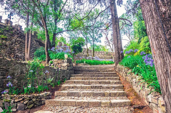 Pátio Castelo Medieval Leiria Castelo Leiria Com Muros Escadas Árvores — Fotografia de Stock