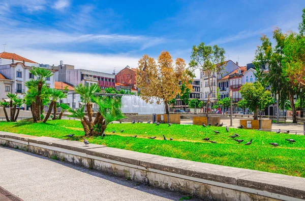 Fuente en parque pequeño y casas típicas de edificios coloridos en la plaza Praca Conde Agrolongo en la ciudad de Braga — Foto de Stock