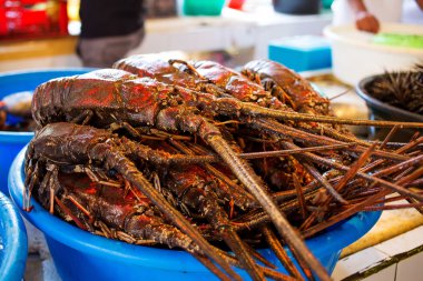 taze deniz ürünleri balık pazarında fotoğrafı
