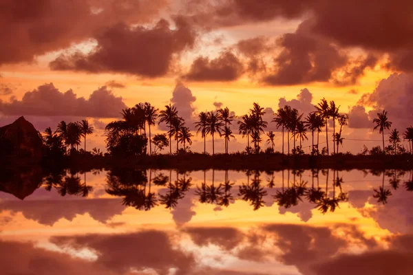 Paisagem do pôr do sol com palmas — Fotografia de Stock