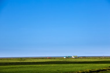 İzlanda ovaları yaz aylarında görüntülemek