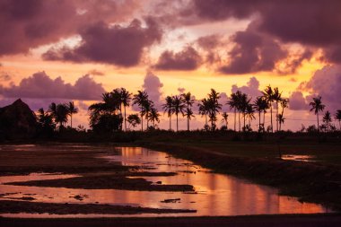 Avuç içi ile günbatımı manzara