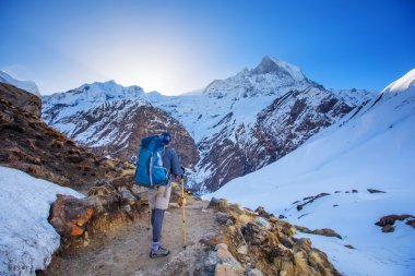 Uzun yürüyüşe çıkan kimse Trek Annapurna Vadisi, Nepal Himalayalar,