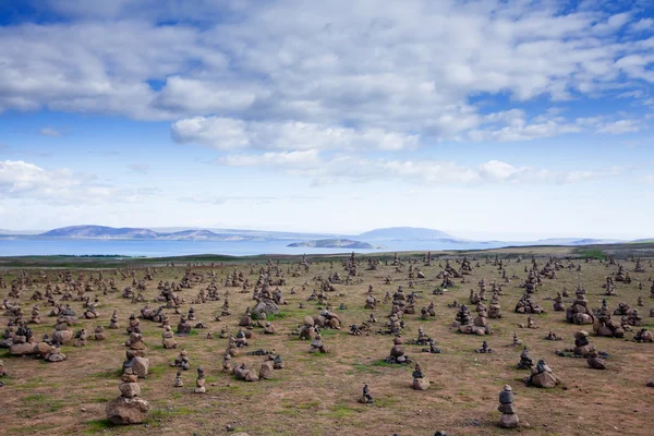 Vista en las llanuras islandesas durante el verano — Foto de Stock