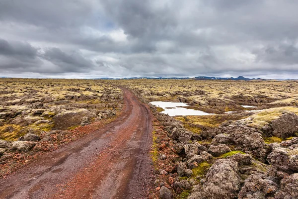 夏の間アイスランド平野で表示します。 — ストック写真