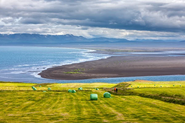 Vue sur les plaines islandaises en été — Photo