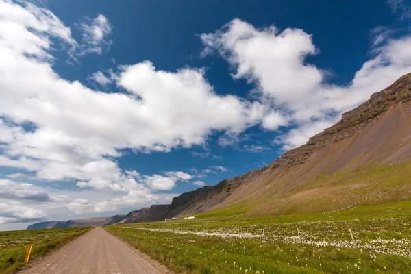 Vista para as planícies islandesas durante o verão — Fotografia de Stock