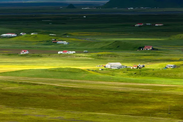 Zobrazit na islandské pláně v letním období — Stock fotografie