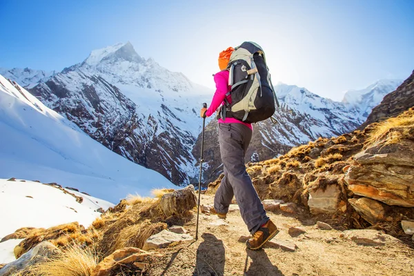 Wanderer auf dem Trek im Himalaya, Annapurna-Tal, Nepal — Stockfoto