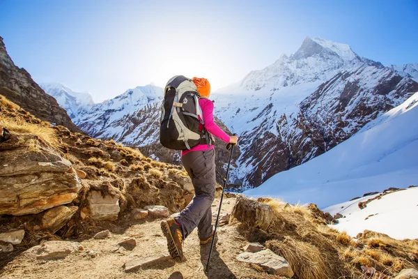 Vandrare på vandring i Himalaya, Annapurna valley, Nepal — Stockfoto