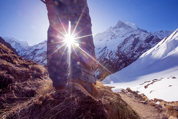 跋涉在喜马拉雅山，安纳布尔纳谷，尼泊尔的徒步旅行者 — 图库照片