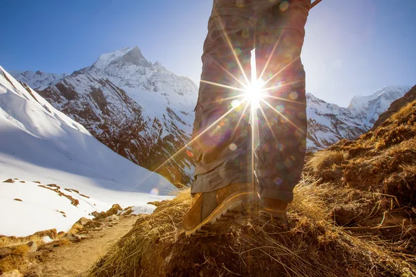 跋涉在喜马拉雅山，安纳布尔纳谷，尼泊尔的徒步旅行者 — 图库照片