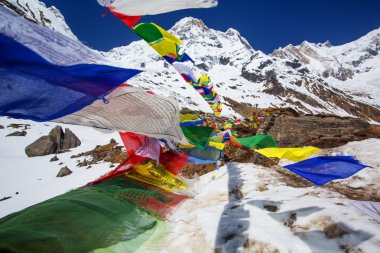 Uzun yürüyüşe çıkan kimse Trek Annapurna Vadisi, Nepal Himalayalar,