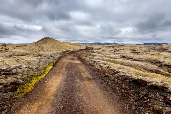 Visa på isländska slätterna under sommaren — Stockfoto