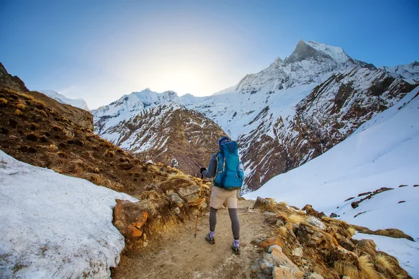 Turysta na trek w Himalajach, Annapurna valley, Nepal — Zdjęcie stockowe