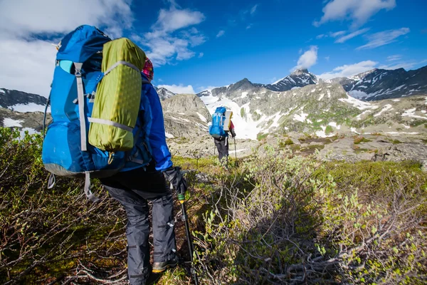 Backpacker jest turystyka w wyżyny, góry Ałtaj, Rosja — Zdjęcie stockowe