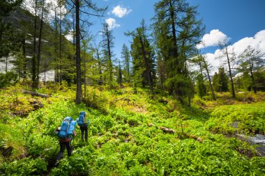 Backpacker Altay Dağları, Rusya'nın dağlarında yürüyüş