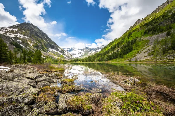 Hermoso paisaje de las montañas de Altai — Foto de Stock