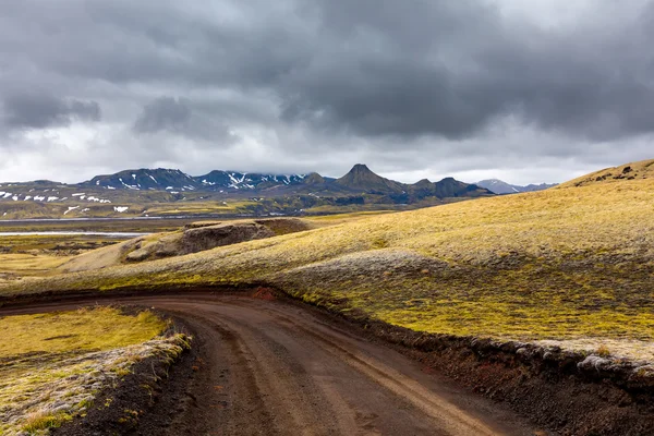 夏の間アイスランド平野で表示します。 — ストック写真