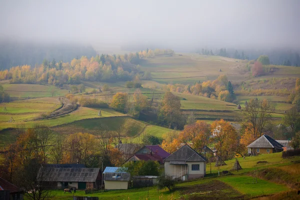 美丽的喀尔巴阡山脉，在秋天 — 图库照片