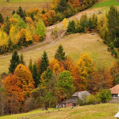 Sonbaharın güzel Karpat Dağları