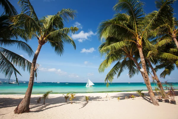 Playa tropical con hermosas palmeras y arena blanca — Foto de Stock