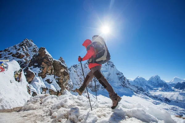 Caminhante na caminhada no Himalaia, vale do Khumbu, Nepal — Fotografia de Stock