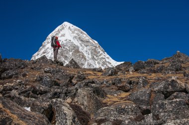 Uzun yürüyüşe çıkan kimse Trek Khumbu Vadisi, Nepal Himalayalar,