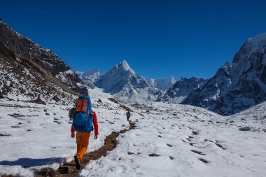 Uzun yürüyüşe çıkan kimse Trek Khumbu Vadisi, Nepal Himalayalar,