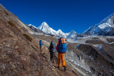 Uzun yürüyüşe çıkan kimse Trek Khumbu Vadisi, Nepal Himalayalar,