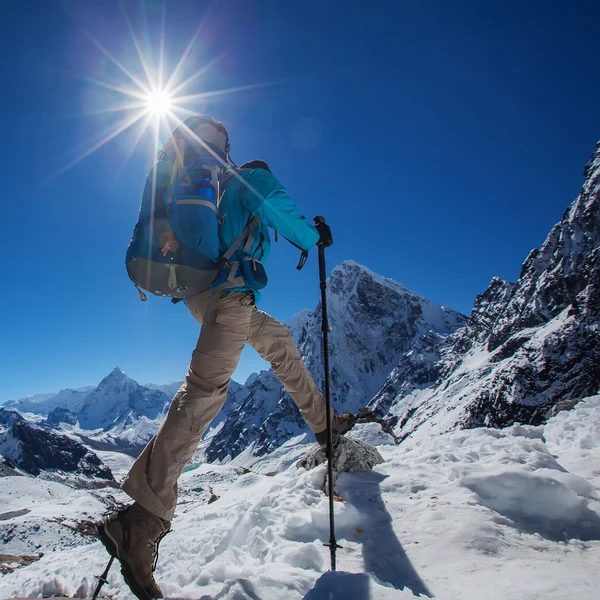 Caminhante na caminhada no Himalaia, vale do Khumbu, Nepal — Fotografia de Stock