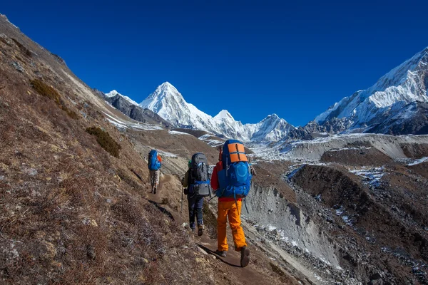 Senderista en la caminata en Himalaya, valle de Khumbu, Nepal — Foto de Stock