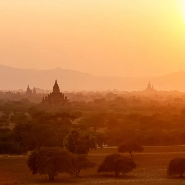 Tempel i Bagan, Myanmar — Stockfoto