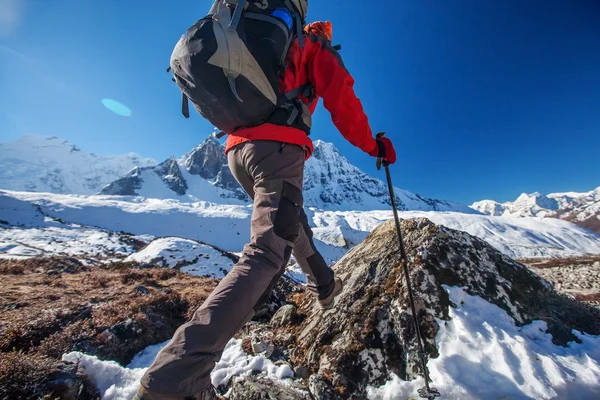 Vandrare på vandring i Himalaya, Nepal-Khumbu dalen — Stockfoto