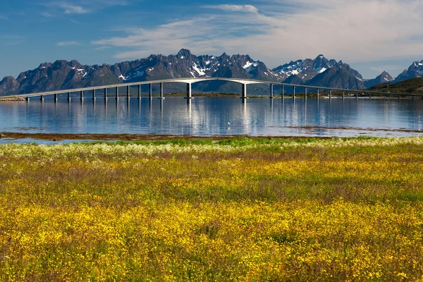 ノルウェーの緑豊かな風景 — ストック写真