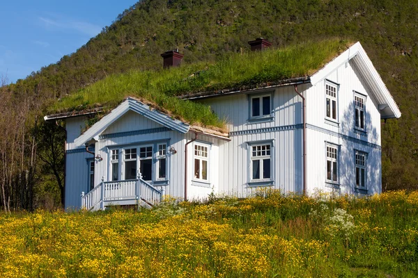 Zielony malowniczy krajobraz Norwegii — Zdjęcie stockowe