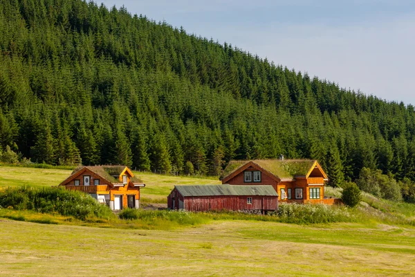 Pittoreske landschap van Noorwegen platteland — Stockfoto