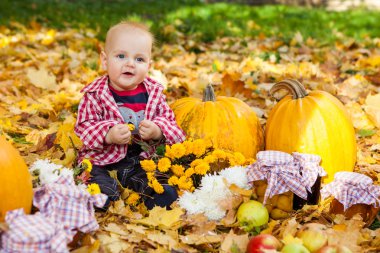 Kabaklar sonbahar Bahçe arasında oturan kırmızı gömlekli erkek bebek