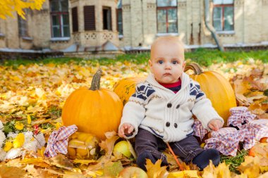Kabaklar sonbahar Park arasında örme kazaklı çocuk oturur