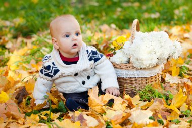 Kabaklar sonbahar Park arasında örme kazaklı çocuk oturur