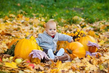 Kabaklar sonbahar Park arasında örme kazaklı çocuk oturur