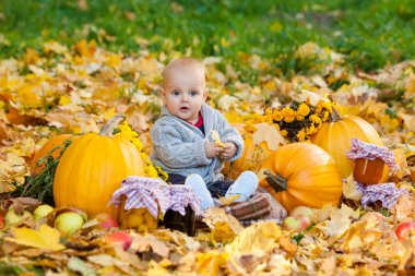 Kabaklar sonbahar Park arasında örme kazaklı çocuk oturur