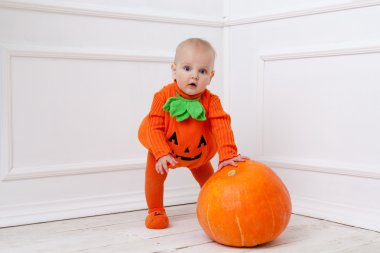 Çocuk balkabağı içinde uygun balkabağı beyaz zemin üzerine 