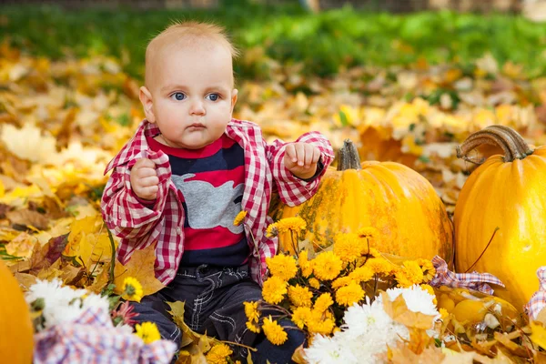 Niño en camisa roja sentado entre calabazas en el jardín de otoño — Foto de Stock