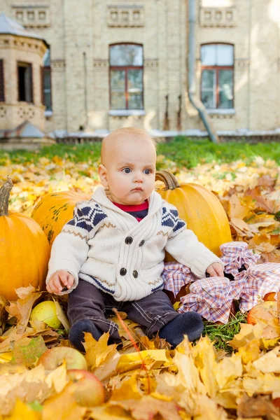 Niño en suéter de punto se sienta entre las calabazas en el parque de otoño — Foto de Stock