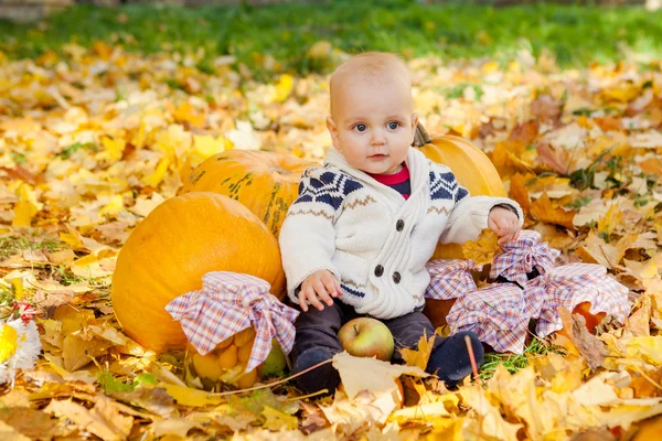 Niño en suéter de punto se sienta entre las calabazas en el parque de otoño — Foto de Stock