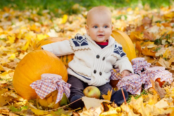 Niño en suéter de punto se sienta entre las calabazas en el parque de otoño — Foto de Stock