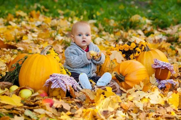 Niño en suéter de punto se sienta entre las calabazas en el parque de otoño — Foto de Stock
