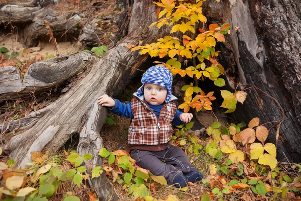 Barn i stickad tröja sitter bland pumpor i höst park — Stockfoto