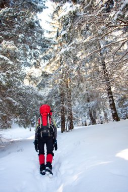 Kış dağlarında yürüyüş yapan